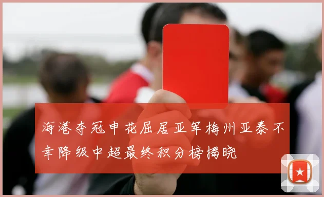 海港夺冠申花屈居亚军梅州亚泰不幸降级中超最终积分榜揭晓